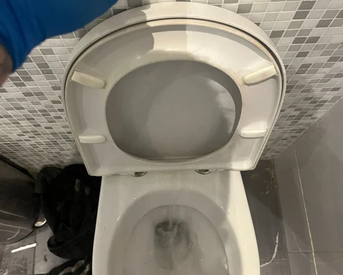 PHOTO-2024-11-27-21-08-32